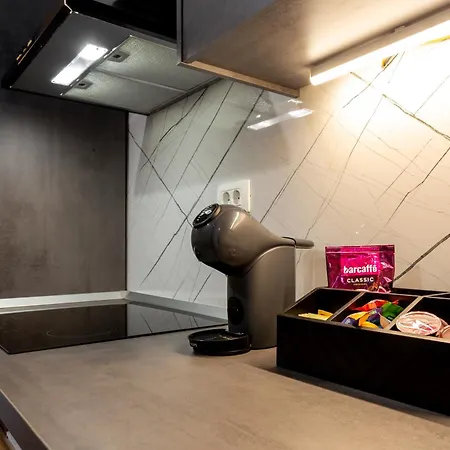 아파트 Celje City Stay *