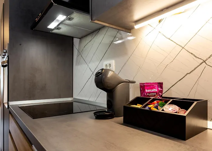 Daire Celje City Stay *